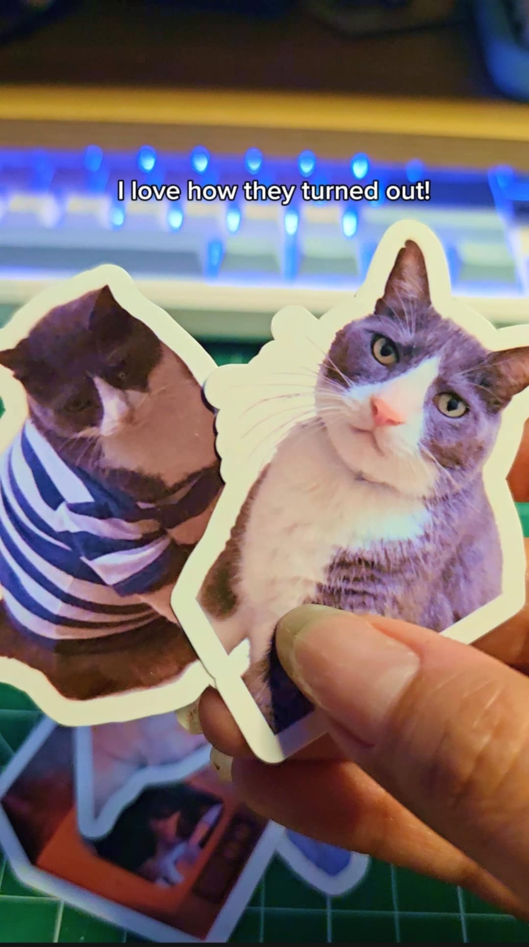 Load video: Video showing packaging for a custom order of cute cat and dog stickers 
